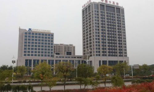 武漢市十五冶金通物質(zhì)設(shè)備有限公司(出口于肯尼亞、坦桑尼亞、剛果)